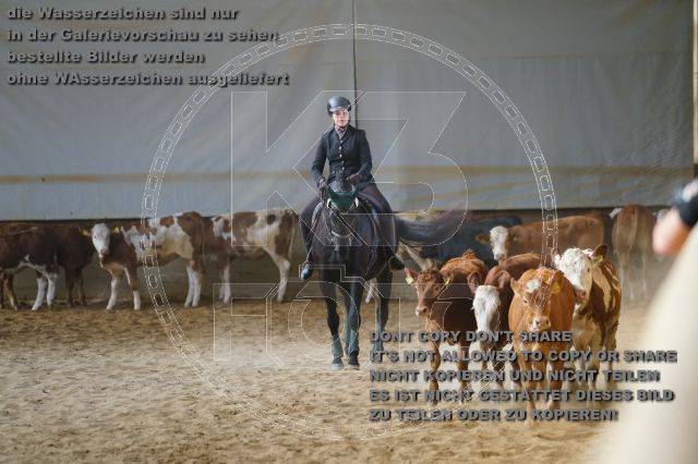 s_K3F02400.JPG